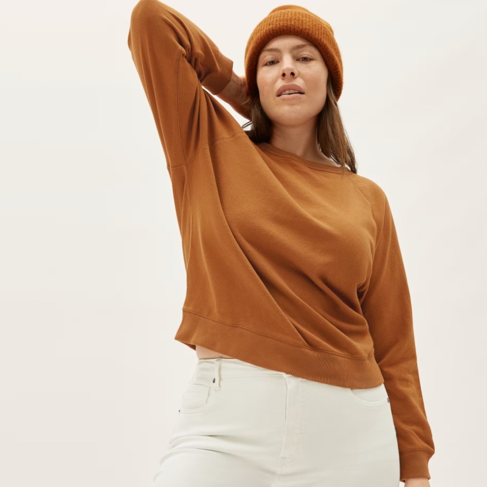 Everlane The Lightweight French Terry Crew Sweatshirt in Cider Orange